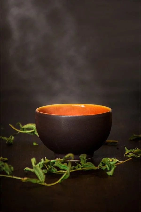 【紅枝山茱萸】茶色くなった枝を1年で真っ赤に戻す大胆カット術