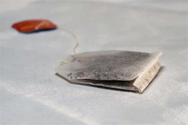 冬の害虫予防5つのコツとよくある誤解